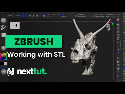 import stl file zbrush