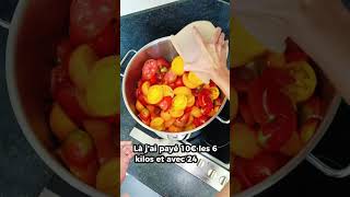 Coulis de tomates en bocaux/ conserves