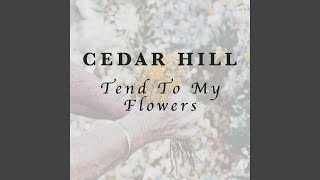 Video thumbnail of "Cedar Hill - Tend To My Flowers"