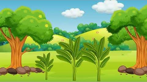 How to make custom Banana tree bone animation in cartoon animator 4