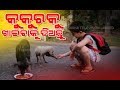 ଜାଣନ୍ତୁ କେମିତି କଟିବ ଆଜି ଆପଣଙ୍କର ଦିନ Rajalaxmi Sahoo