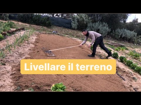 Video: Livellare Un Cottage Estivo Per Un Orto E Un Prato