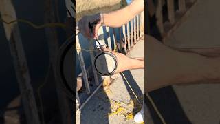 Miknatisi Göle Attim Bakin Ne Çikti