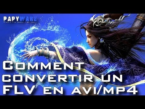 Vidéo: Comment Convertir De Flv En Avi