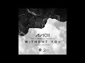 Avicii  without you danielc remix