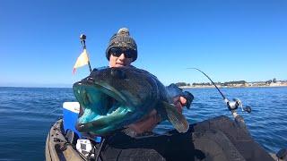 The time has finally come! in my local waters, fishing for rockfish is
closed from january 1st to march 31st allow these fish spawn. lucky
me, ...