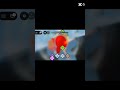 espingarda no boxe sem título #roblox #edit