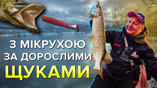 Мікроджиг - не дитяча розвага! Чудова риболовля на щуку в неочікуваних, взагалі не щучих місцях.