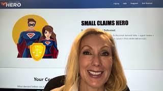 How To File Small Clams In Will County