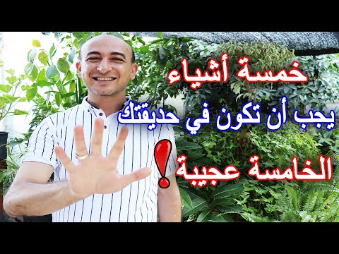 فيديو: لماذا يجب أن تزرع آذريون في حديقتك؟