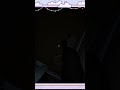 streamer screaming, "ENOUGH ALREADY!" Getting hunted and having things thrown at me! #funny #gaming