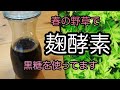 春の野草で【麹酵素（植物酵素・酵素液・酵素ドリンク）の作り方】ヨモギ、ドクダミ、カラスノエンドウ　黒糖使用　How to make Jiuqu enzyme using spring herbs