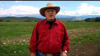 Learn About High Plains Bison