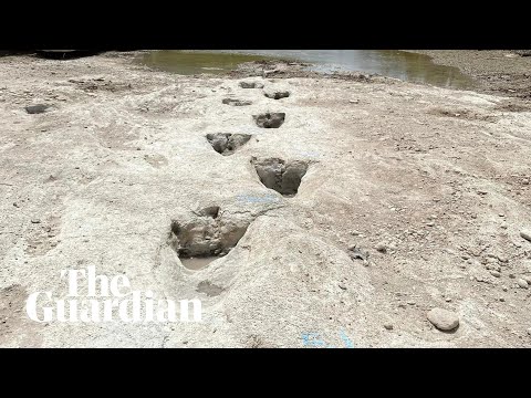 Drought conditions reveal ancient dinosaur footprints in texas