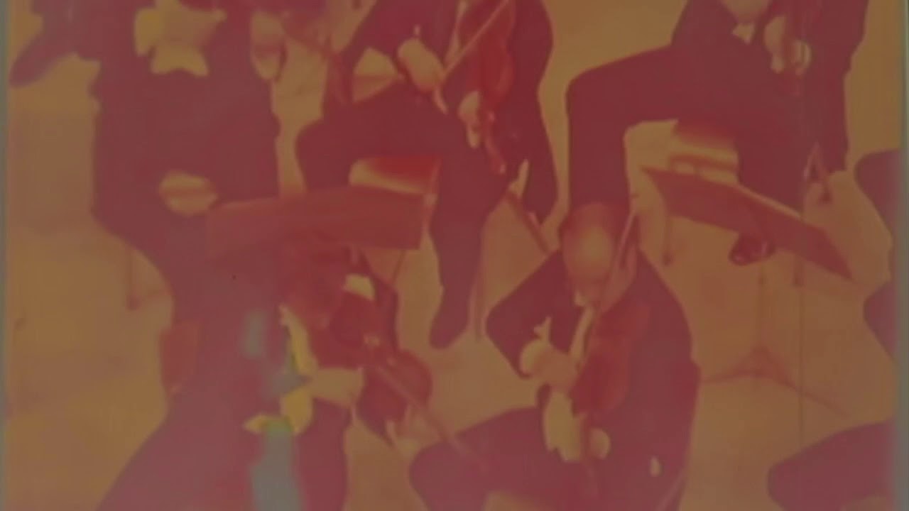 Hayground School - Direct Film Animation