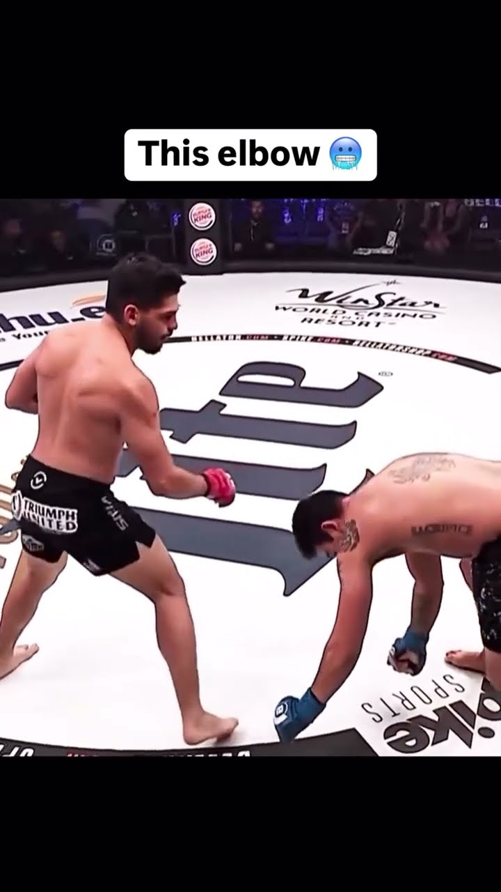 Lethal ? #ufc #knockout #combatsports