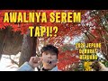 JEPANG LAGI DARURAT BERUANG… DAN AKU MALAH NAIK BUKIT SENDIRIAN