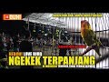 HEBOH! NGEKEK Dari Awal Sampai Akhir  Penilaian TANPA PUTUS dan Langsung MUTLAK JUARA!