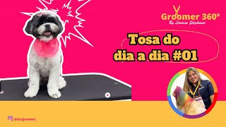 TOSA DO DIA A DIA #01  Tosa no adaptador 9mm #banhoetosa #tosaalta #tosabebe