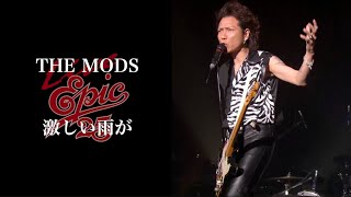 THE MODS「激しい雨が」(taken from「Live EPIC 25」) 8月21日(月) 一夜限定上映！