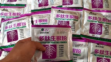 HƯỚNG DẪN SỬ DỤNG THUỐC SIÊU KÍCH RỄ TRUNG QUỐC. SĐT 0387 072 577