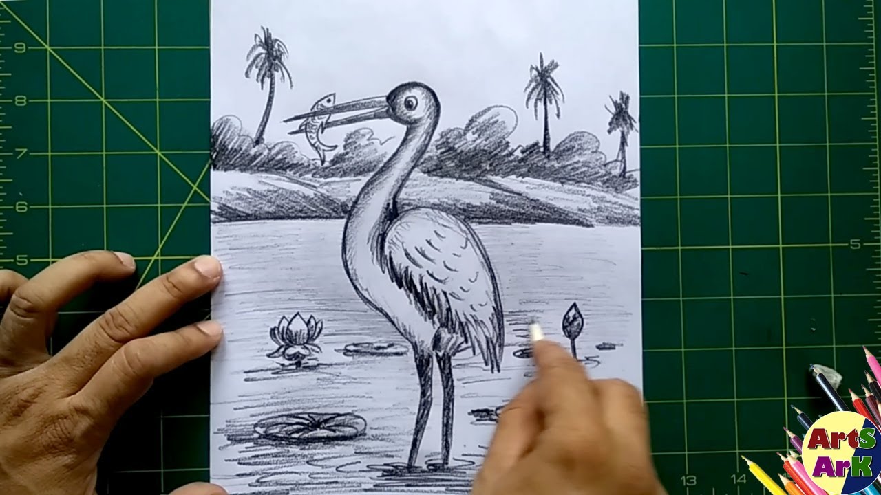 Crane Bird Drawings for Sale  Fine Art America