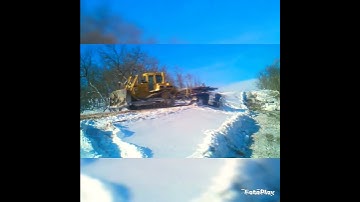 D6H Cat Dozer 🐈 😻 | the gutter guy #shorts #subscribe #shortvideo #like #life #cat