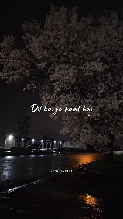 Dil Ka Jo Haal Hai ✨ || Aesthetic || Lyrics || #viral #trending #lyrics #dil