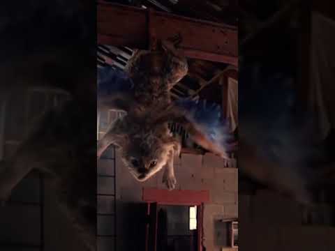 Chupa edit i love this movie