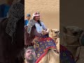 unt ki sawari Dekho and mein kya hua #comedyfilms #funny
