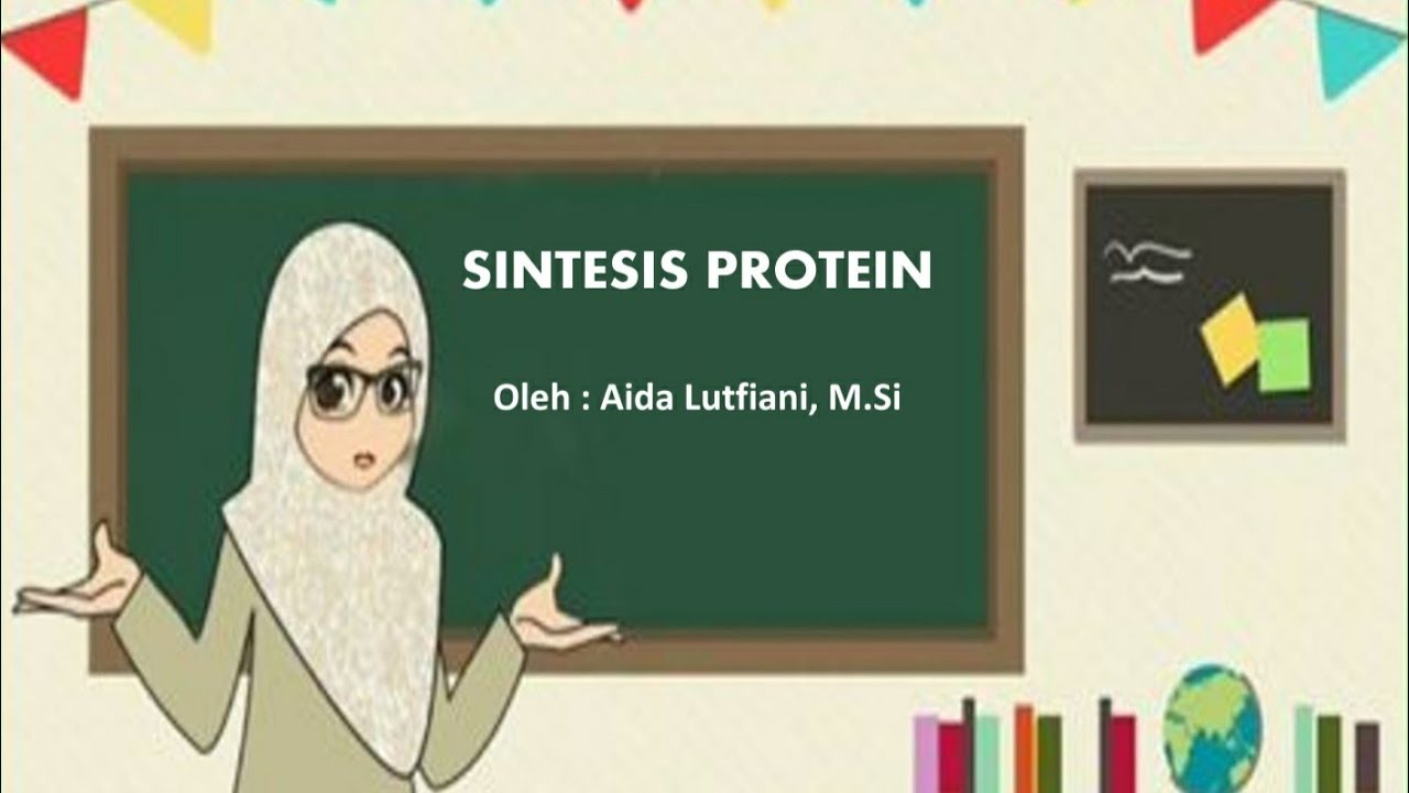 Sintesis Protein - Biologi Kelas XII - YouTube