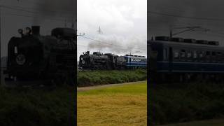 【SLぐんま2023】C61-20 +12系客車 ヤギシブ快速通過！[JR EAST] steam locomotive class C61 pulling "SL Gunma"