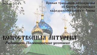 Прямая трансляция: Божественная литургия на Радоницу.