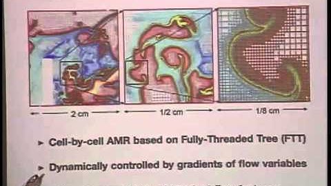 Turbulence and Stochasticity in High-Speed Reactive Flows