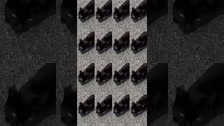 Send This With Zero Details