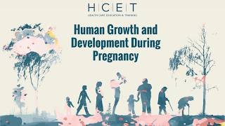 Human Growth and Development During Pregnancy (English)