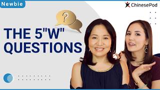 The 5 W Questions