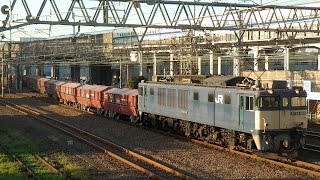 8784レ EF64-1019(原色)牽引 赤ホキ貨物列車 笠寺入線