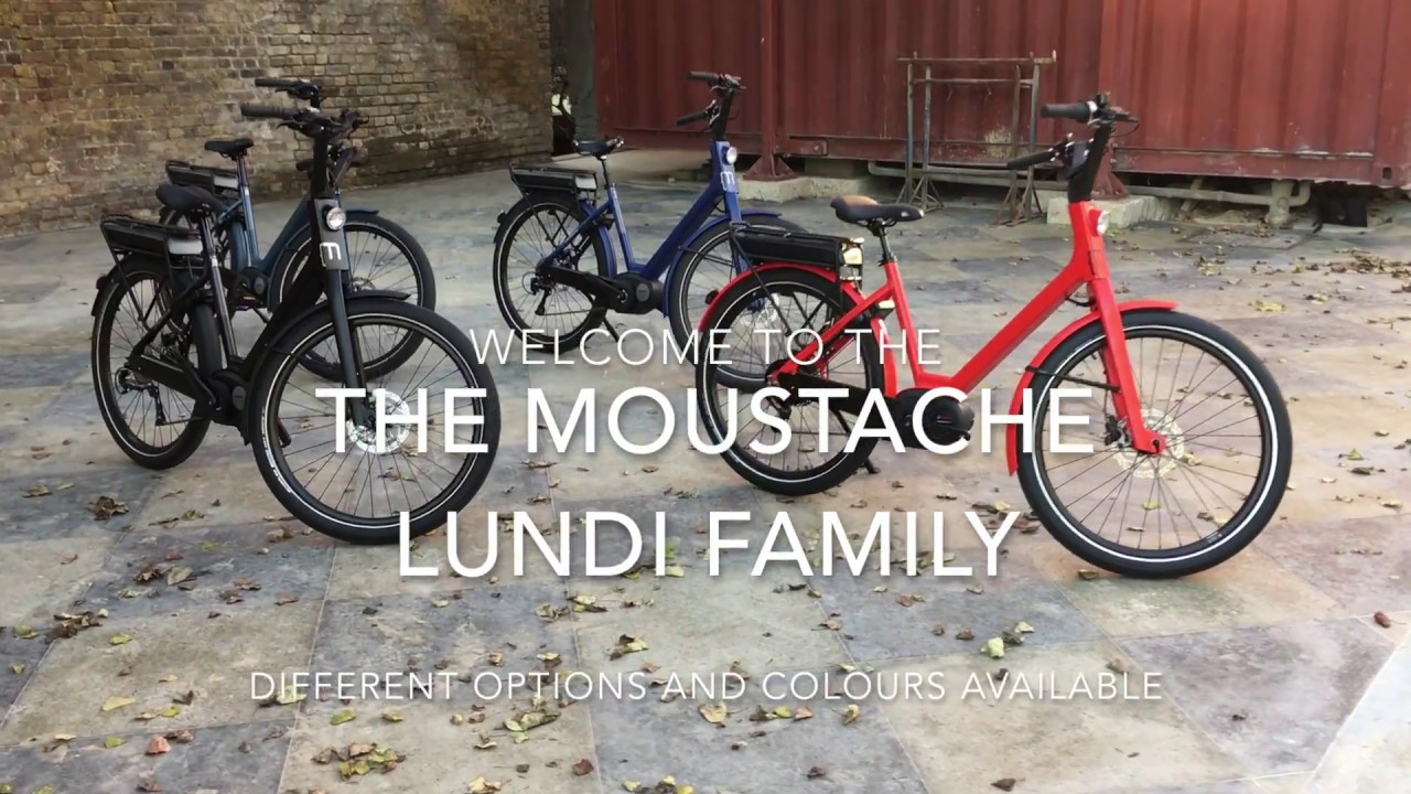 Moustache Lundi ebike