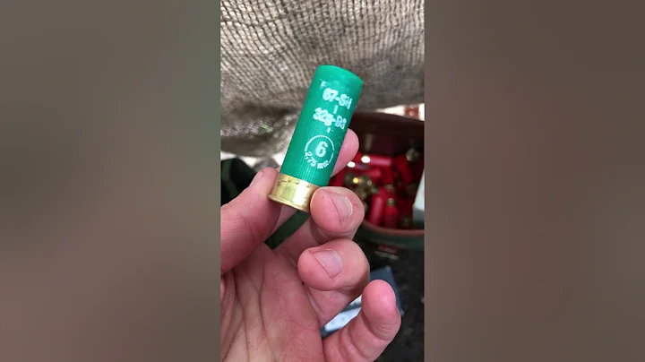 Pigeon shooting tips for beginners. Decoying and cartridge choice