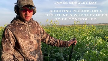 James Bradley-Day - Pigeon shooting on a flightline and why they need to be controlled