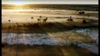 10 Hours Of Relaxing Planet Earth II Grassland Sounds | Earth Unplugged