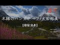 【篠笛演奏】木綿のハンカチーフ/太田裕美