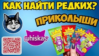 ? ПРИКОЛЫШИ ? Охота за РЕДКИМИ ПРИКОЛЫШАМИ (vlog) // ВЕЗУЧИЙ ХОМЯК