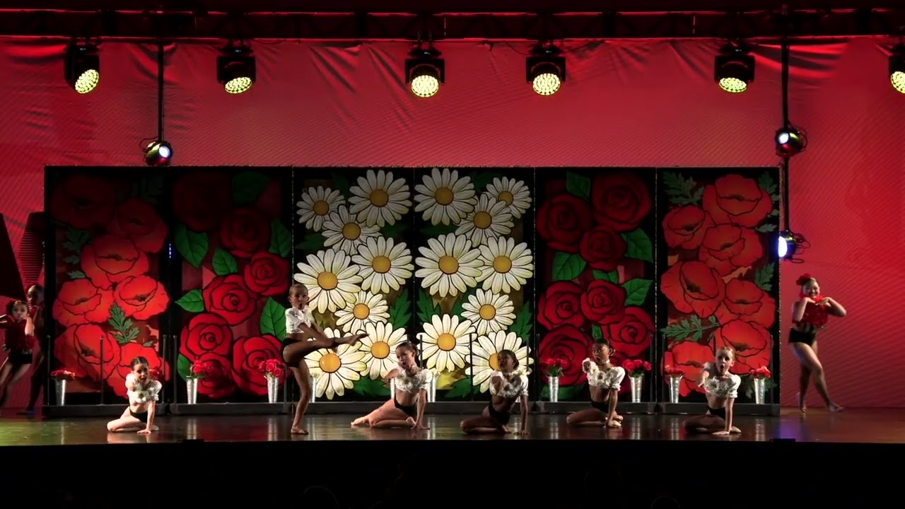 OC PRO / OCPAA MINI LARGE GROUP 