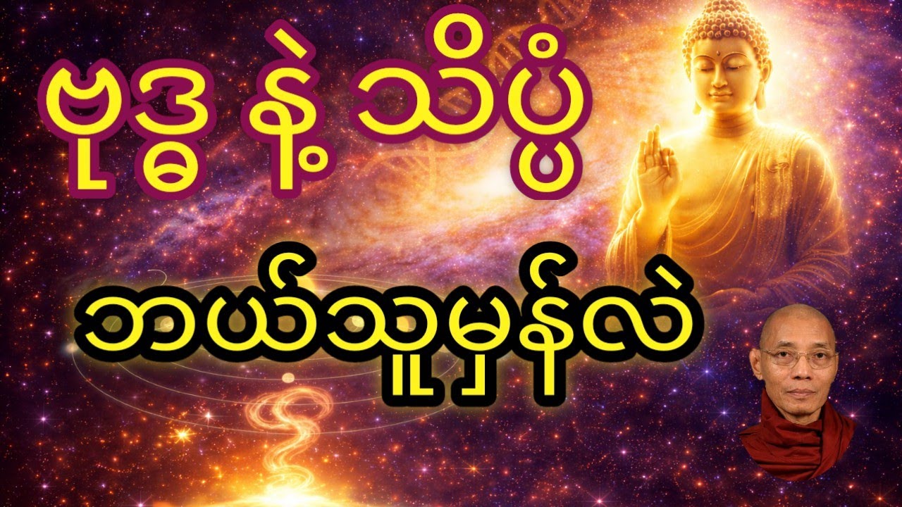 လူ အစ မျောက်က ဆိုတာ မှန်ရောမှန်ရဲ့လား?(အဂ္ဂညသုတ်လာ လူသားအစ)#ပါချုပ်ဆရာတော်ဘုရားကြီးတရားတော်များ2025 