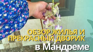 107. Как разделывают Себаса. В гостях у Максима и Светланы, новое жилье с тремя балконами и садом.