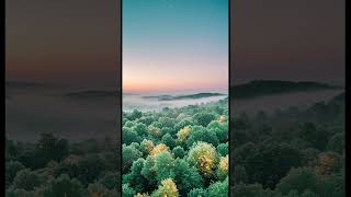 Healing Music With Twilight Jade Forest 10-Hour Healing