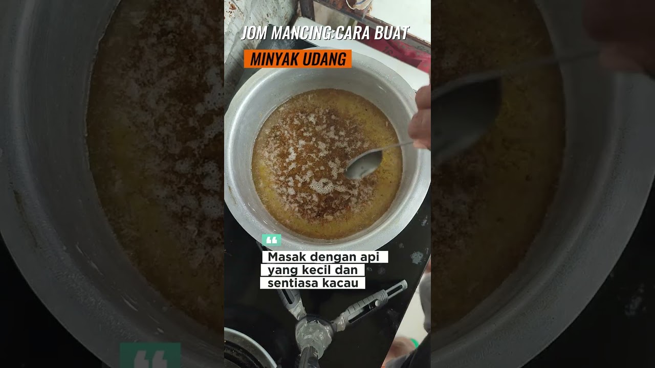 Cara buat minyak udang mancing