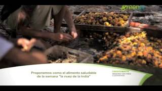 'CASHEW' THE HEALTHY FOOD OF THE WEEK PGM 92 B2 'CASHEW' THE HEALTHY FOOD OF THE WEEK PGM 92 B2